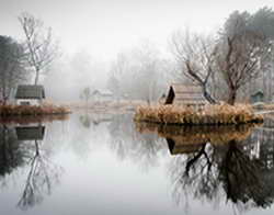 Фондовый рынок, Daily history за 19 августа 2025 г.