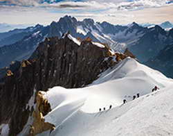 К чему снится хвост?