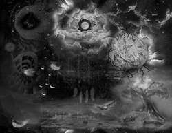 Мойки для эндоскопов: назначение, преимущества, как выбрать