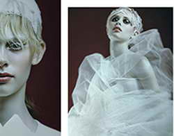 Функции системы бизнес-аналитики в 2026: как собирать данные, делать прогнозы и увеличивать прибыль