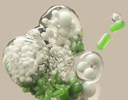 Как защитить от гельминтов себя и своего питомца